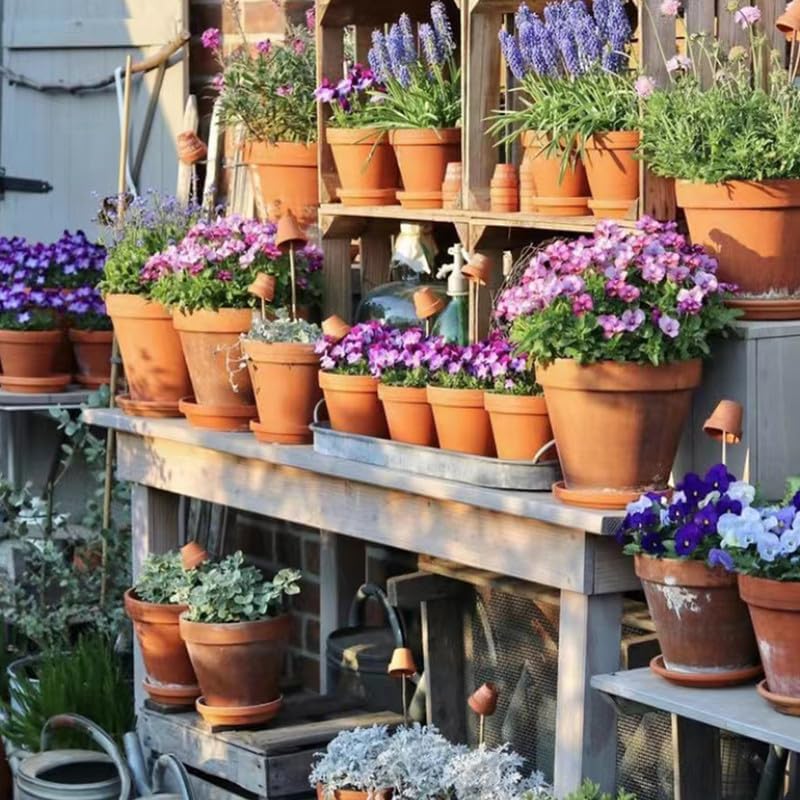 Fcacti 10 inch Large Terra Cotta Plant Saucers, Round Pot Drip Trays,Durable Thicker Clay Plant Tray Flower Pot Saucers for Outdoors Indoors Flower Pots and Planters,Pack of 3