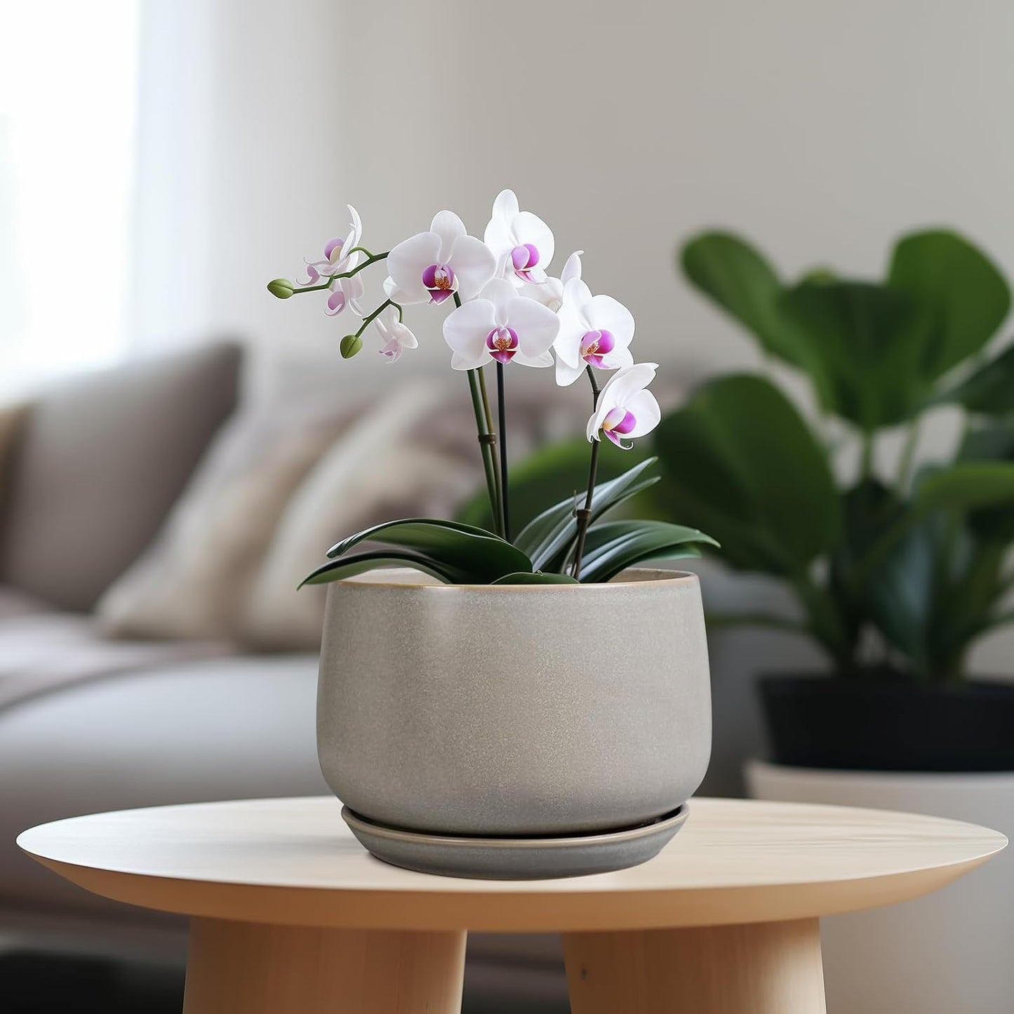 G EPGardening Ceramic Pots for Plants 7 Inch - Large Ceramic Planters for Indoor Plants Outdoor Modern Flower Pot with Drainage Holes and Saucer for Office Garden Patio Grey