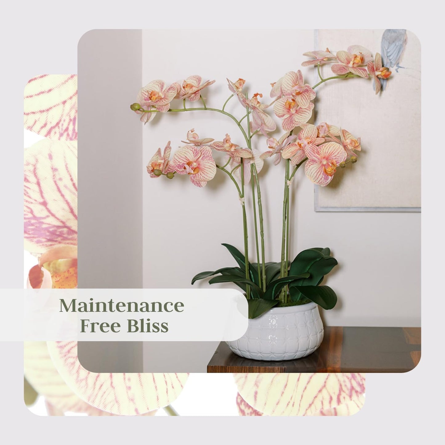Faux Orange Orchid Plant, Premium Artificial Indoor Flower Display Stands 23”, Beautiful Sculptural Blooms That Lasts Forever, White Planter Pot Included