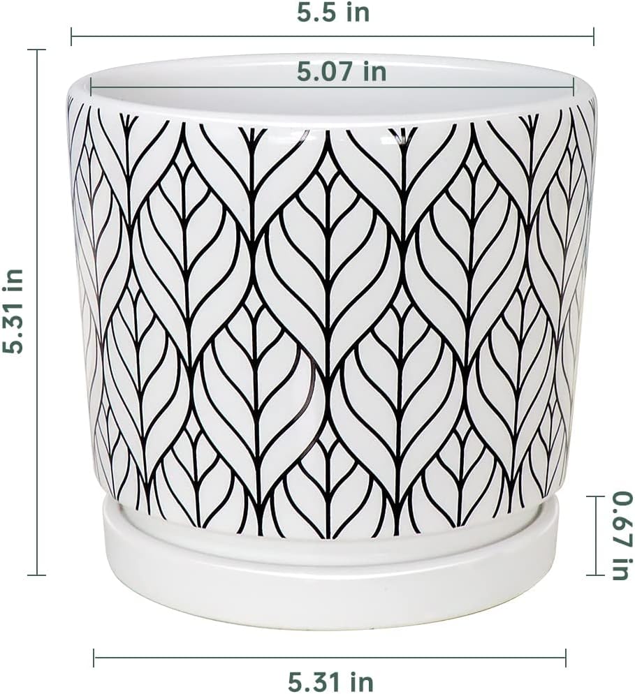 Ton Sin Plant Pots,5.5 Inch White Pots for Indoor Plants with Drainage Holes,Cylinder Flower Pot Ceramic Planters with Saucer,Cactus Succulent Outdoor Garden Pots Set of 4