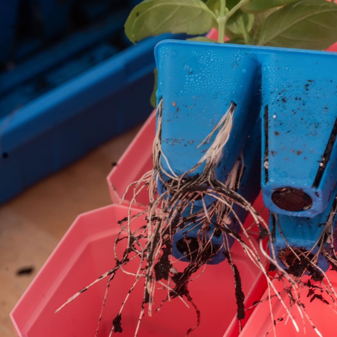 Bootstrap Farmer Ultimate Seed Starter Kit Multicolor with Humidity Domes for Indoor Seed Starting, Propagating, Germinating