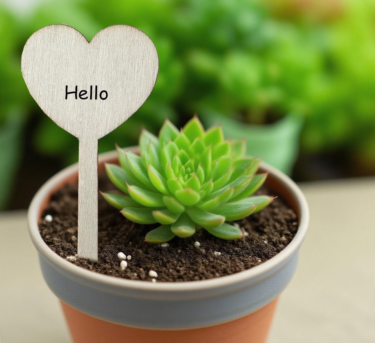 100 Pcs Wood Plant Labels, Natural Wooden Plant Marker Garden Sign Tags, T-Type Garden Markers for Succulents, Herbs, Seedlings, Potted, Flowers, Vegetables (Heart)