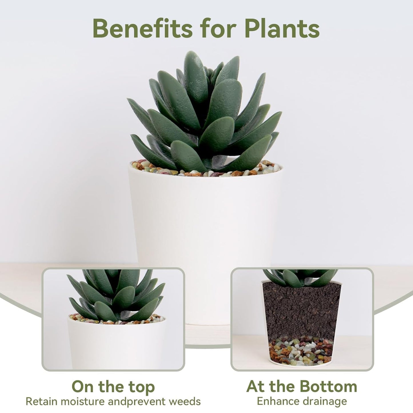 10 lbs Pebbles for Indoor Plants, Succulent Rocks, 3/8" Polished Pebbles for Bamboo, Vase, Terrarium, Natural Decorative Small River Rocks for Crafts, Cactus, Outdoor Garden Landscaping