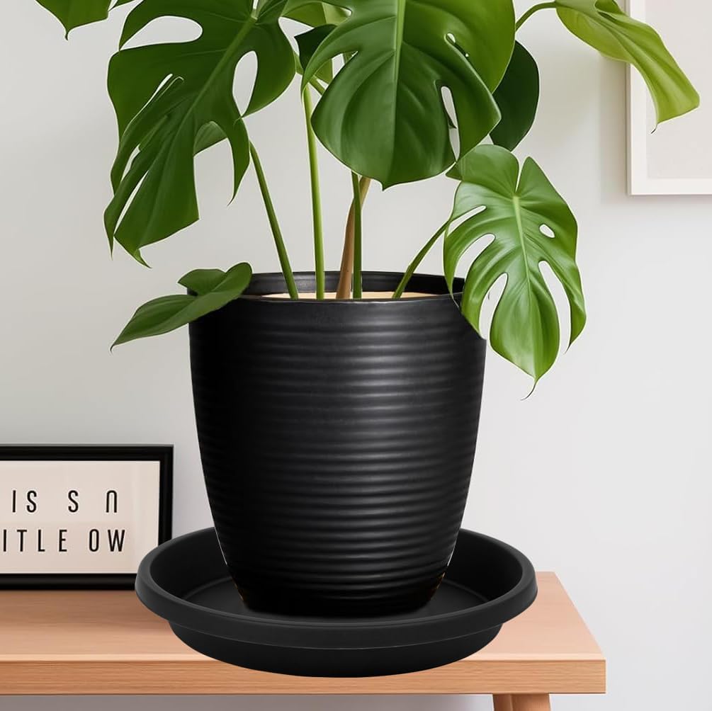 2 Pack Plant Saucer 8 Inch, Drip Trays for Potted Plants, Flower Pot Saucers Plant Trays for Pots, Plastic Planter Tray for Indoors, Plant Drainage Saucer Birdbaths for Outdoors