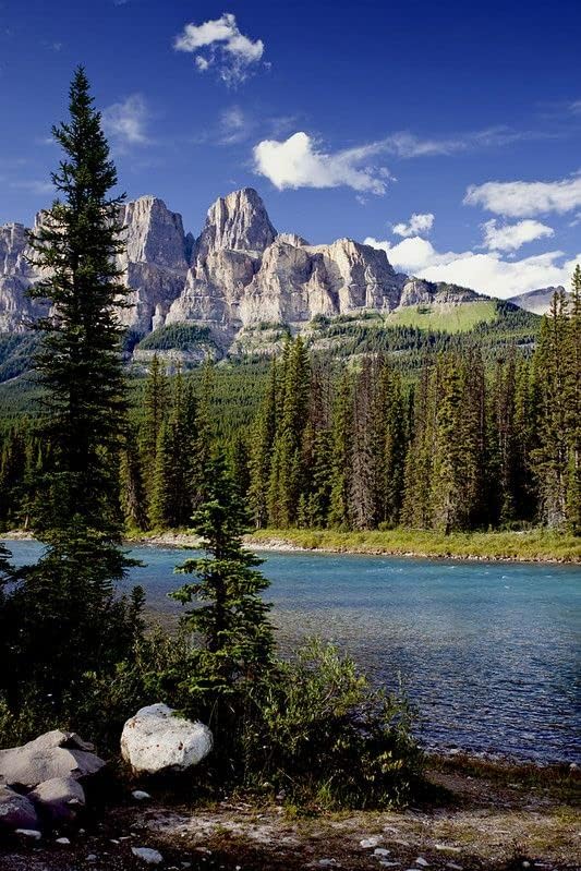 Pond and Lake Treatment – 1 Gallon