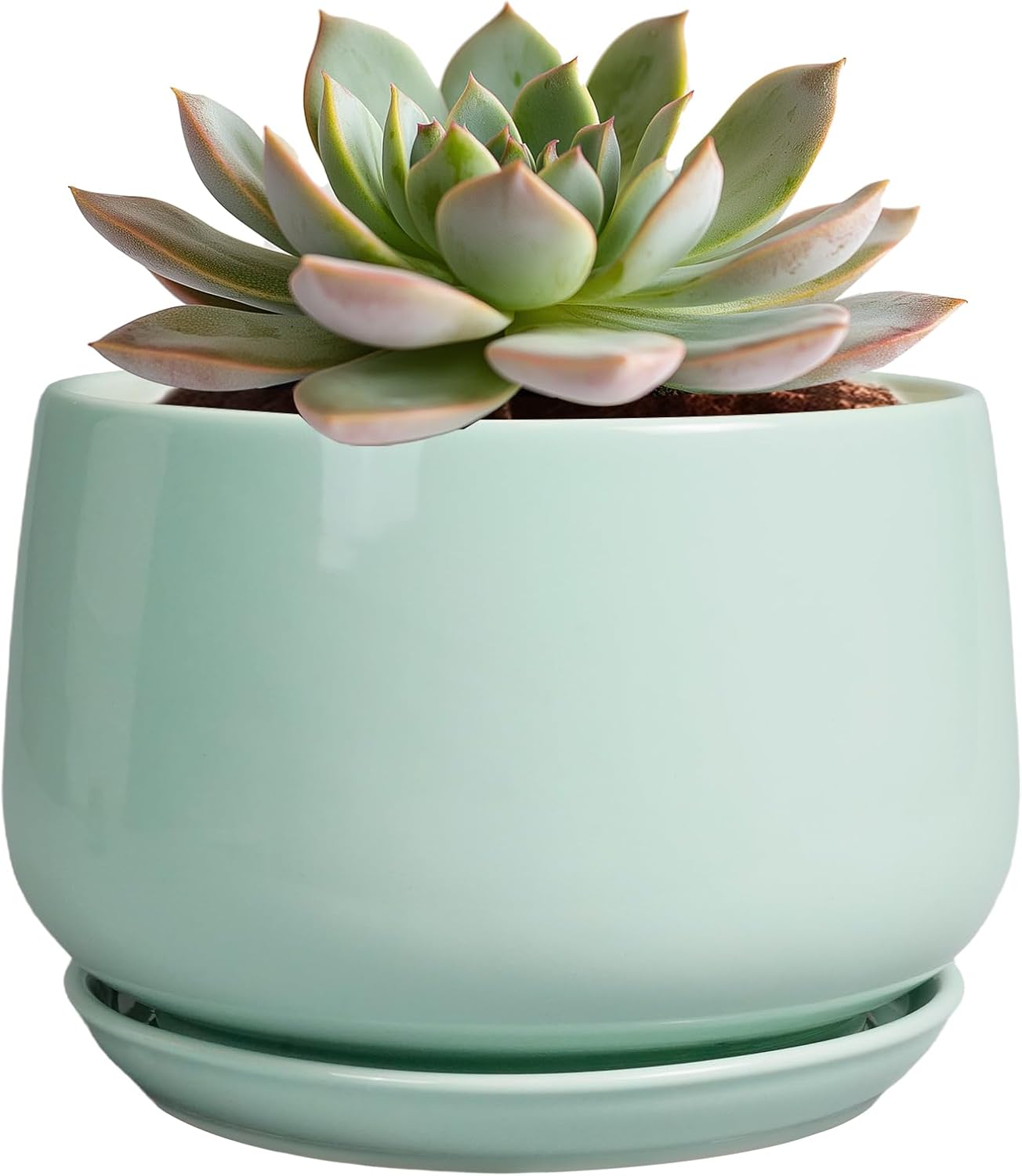 G EPGardening Ceramic Plant Pots - 6 Inch Pot for Plants, Ceramic Planter with Drainage and Saucer, Flower Indoor Outdoor Planter, Modern Bathroom Decor, Birthday Gifts, Green
