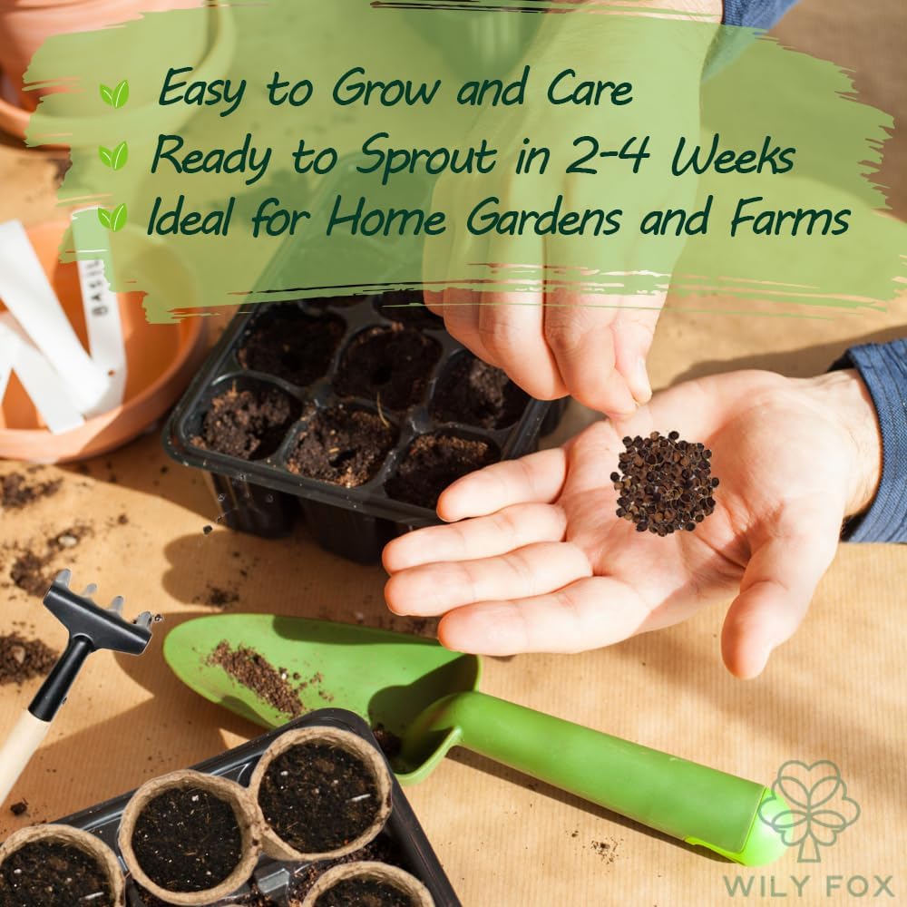 Premium Rare Hollyhock Seeds – 100+ Double Pink Hollyhock Flower Seeds – Non-GMO, Heirloom Perennial – Showy Blooms for Outdoor Planting (Double Pink Hollyhock)