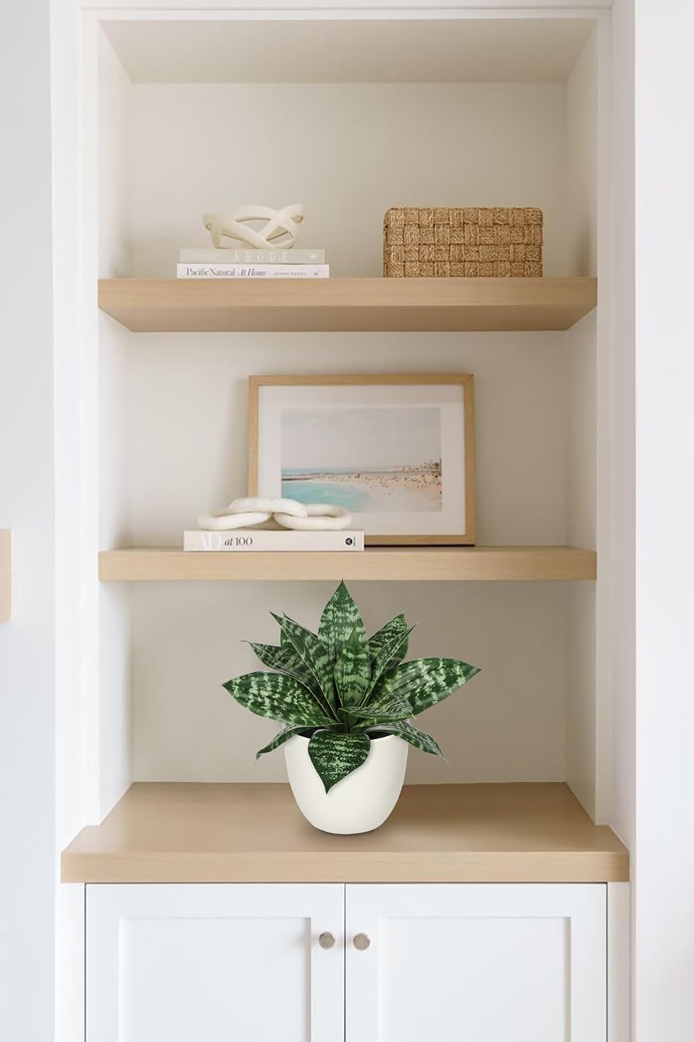 Hollyone Artificial Snake Plants 9" Faux Agave Succulent Plant Potted in White Pot Fake Sansevieria Aloe Tropical Plant for Desk Modern Office Home Bathroom Indoor Outdoor Decor