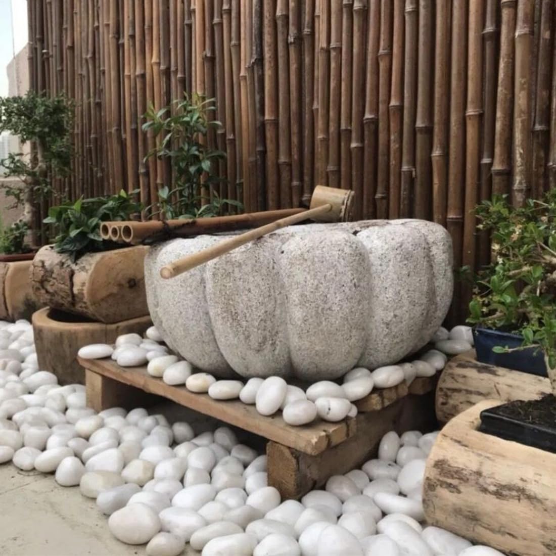 5lbs White River Rocks, 2-3 Inch Natural Pebbles for Indoor Plants, High Polished Decorative Stones Vase Filler Fish Tank Aquariums Landscaping Garden Outdoor and Indoor DIY