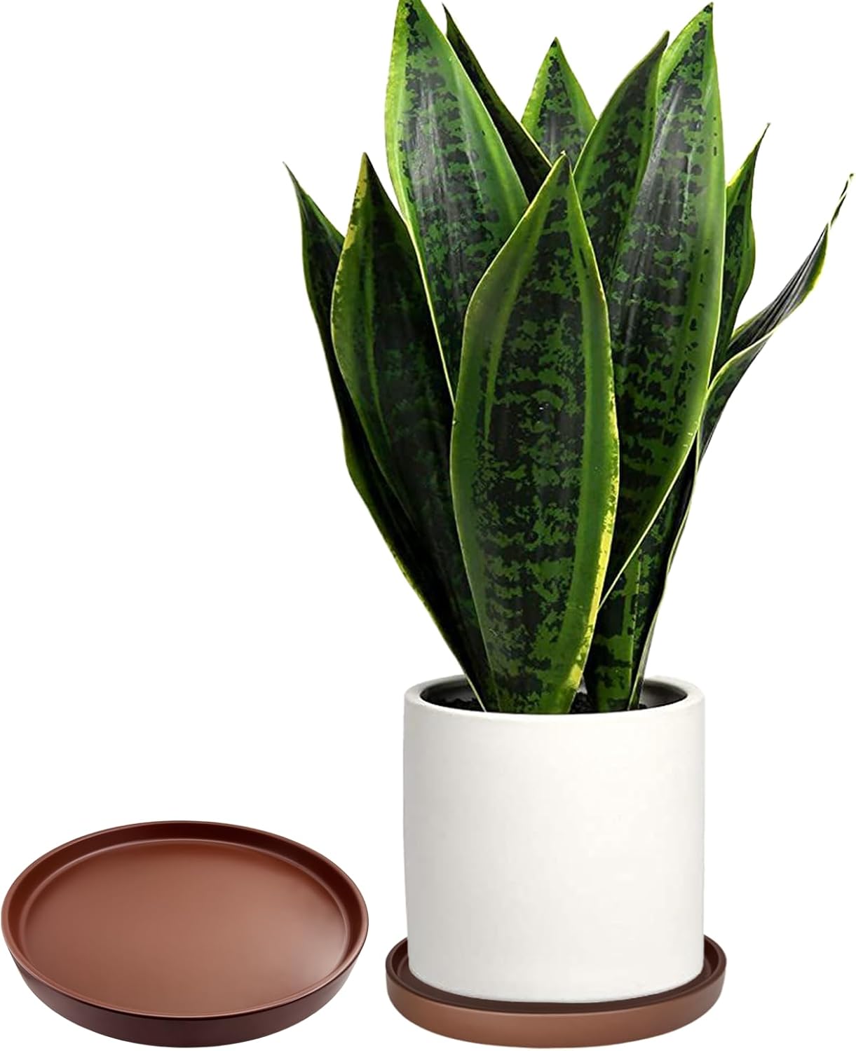 2 Pack Ceramic Plant Saucer Pot Tray 6 Inch, Planter Saucers 4 5 6 7 8 9 10 11 12 13 Inch for Indoors Outdoor, Durable Sturdy Flower Drainage drip Water Tray for Glazed Pots Base (6.4 Inch-Brown)