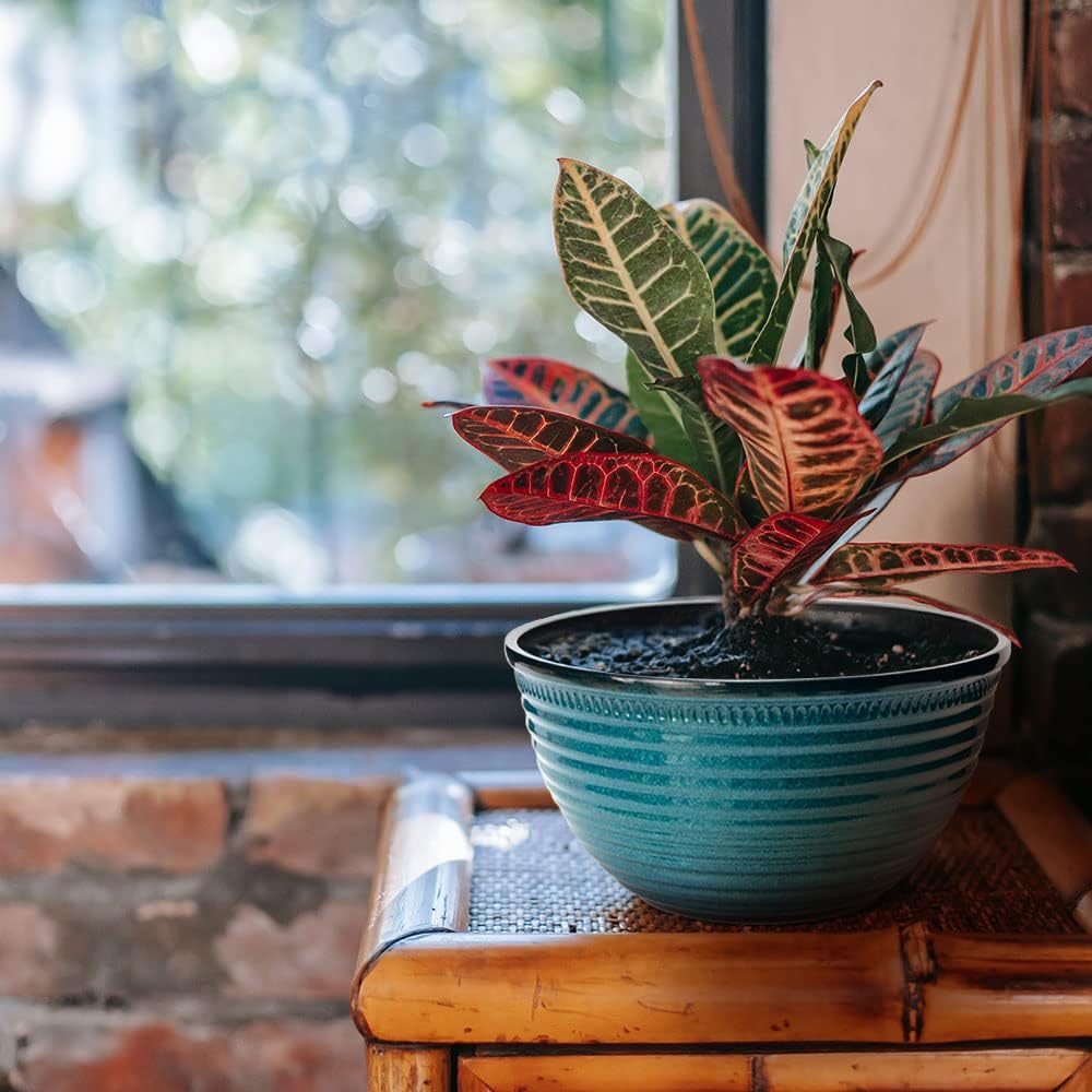 2 Pack 10 Inch Plant Pots,Durable Decorative Flower Pots Planters with Drainage Hole for Indoor and Outdoor Plants,Flowers,Succulents, Blue