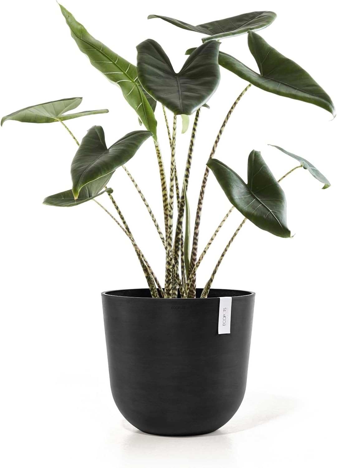 Ecopots Oslo Durable Modern Round Indoor/Outdoor Recycled-Based Composite Flower Pot Planter, Dark Grey, 17.75"