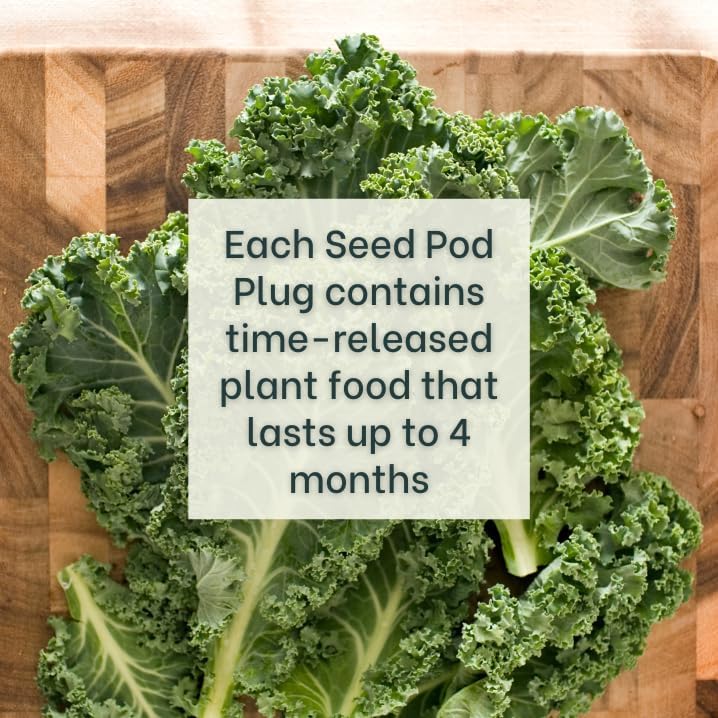 Grow Your Own Seed Pod - Complete Seed Pod Plugs with Plant Food (add Your own Seeds) - 10 Pods for Hydroponic Gardens, Click and Grow, Lettuce Grow and Outdoor Gardens