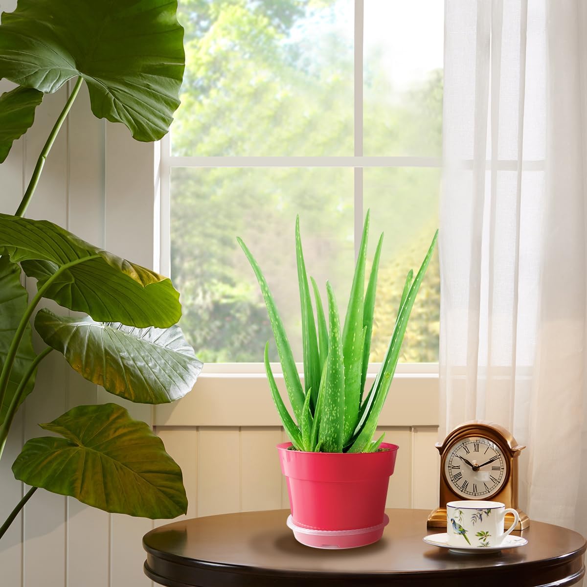 8 inch Plastic Flower Pots, Red Plant Pots 12Pack with Saucers for Indoor House Plants Growing and Decoration