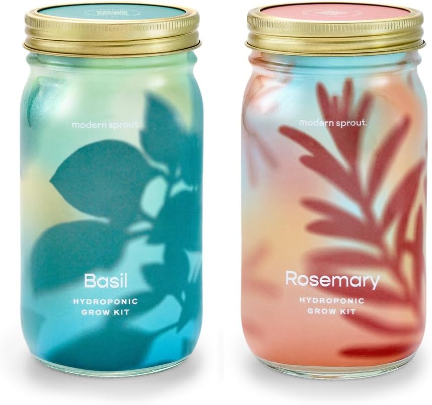 Modern Sprout Mason Garden Jar - Self-Watering Hydroponics Growing System Kit with Organic Herb Seeds - Jar Planter for Indoor Herb Garden - Seed Starter Kit - Home Decor & Gifting - Basil+Rosemary