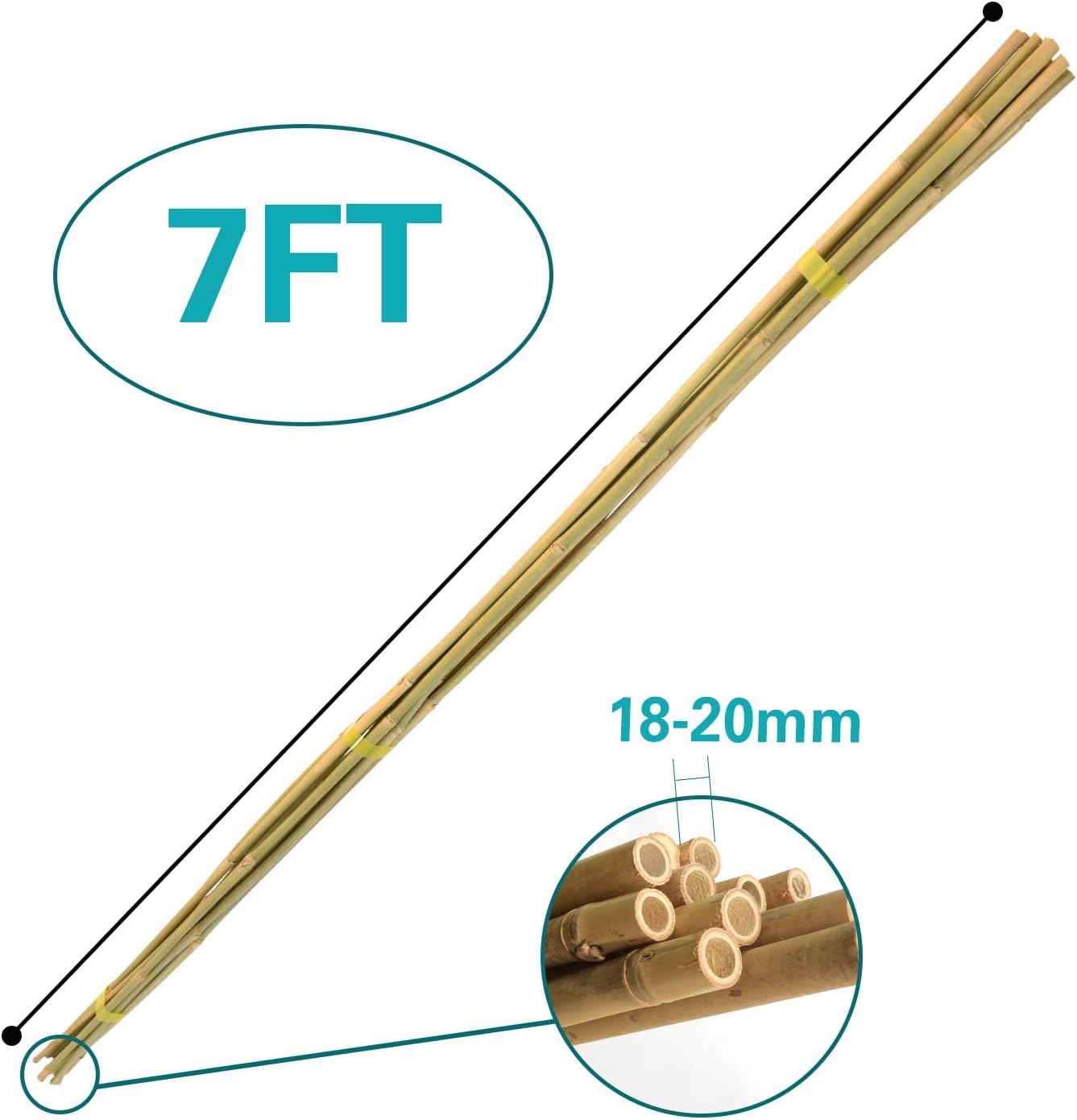 Bamboo Stakes 7 Feet, 84 inch Garden Stakes Multi-Purpose, Bamboo Plant Support Stakes for Tomatos, Beans, Cucumbers, Peppers, Potted Trees, Maintain The Plant Posture, Strengthen and Stem