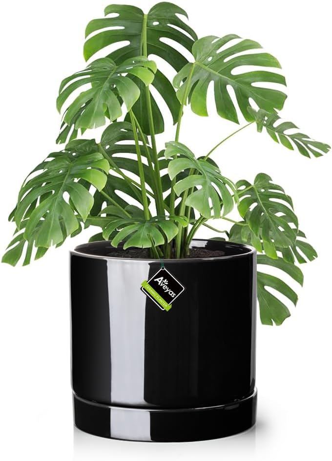 Aveyas 10 inch Ceramic Plant Pot with Drainage Hole and Saucer - Suitable for Indoor and Outdoor Use, Modern Planters for House Garden Flower Tree Snake Monstera Plants (10", Glossy Black)