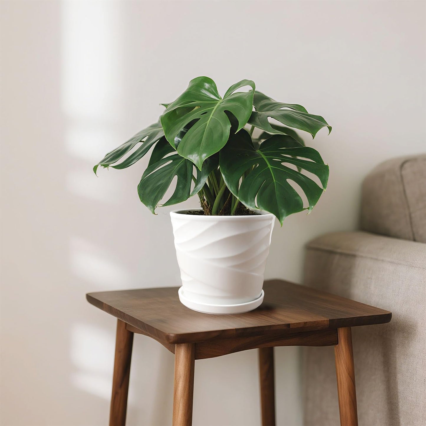 8 Inch Plant Pot, Ceramic Planter with Drainage and Saucer, Ceramic Pots for Plants, Indoor Plant pots,Succulent Orchid Flower Pot(Pure White)