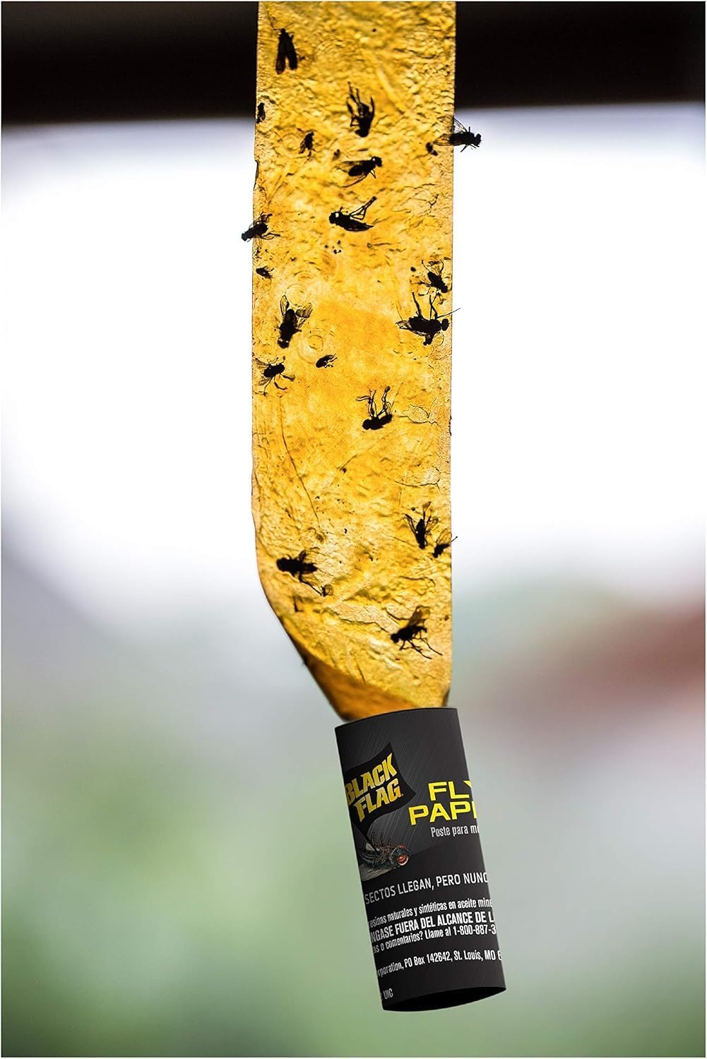 Black Flag Fly Paper, Insect Trap, Catches All Flying Insects 4 Traps (Pack of 12)