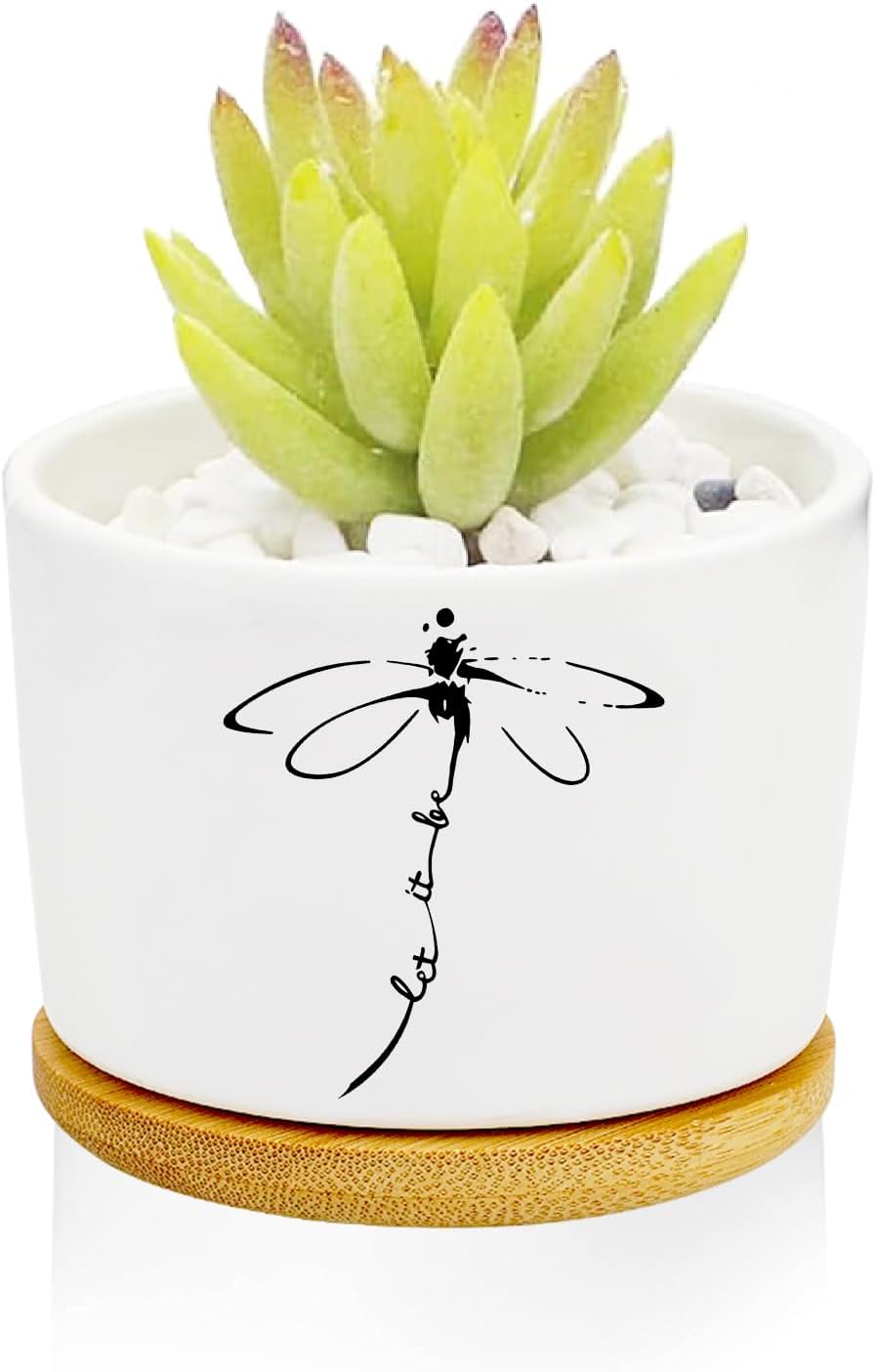 Window Garden Dragonfly Planter Pots,Dragonfly Gifts for Women/Men/Housewarming/Wedding/Festival Birthday Gifts Planter Pots,Outdoors/Indoors,Window Decor,Garden Decor,Yard Decor,Home Decor,Office