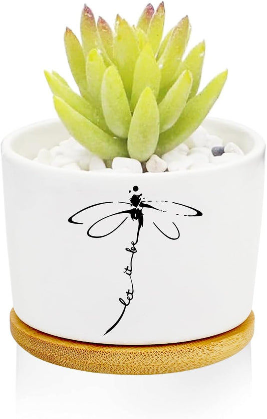 Window Garden Dragonfly Planter Pots,Dragonfly Gifts for Women/Men/Housewarming/Wedding/Festival Birthday Gifts Planter Pots,Outdoors/Indoors,Window Decor,Garden Decor,Yard Decor,Home Decor,Office
