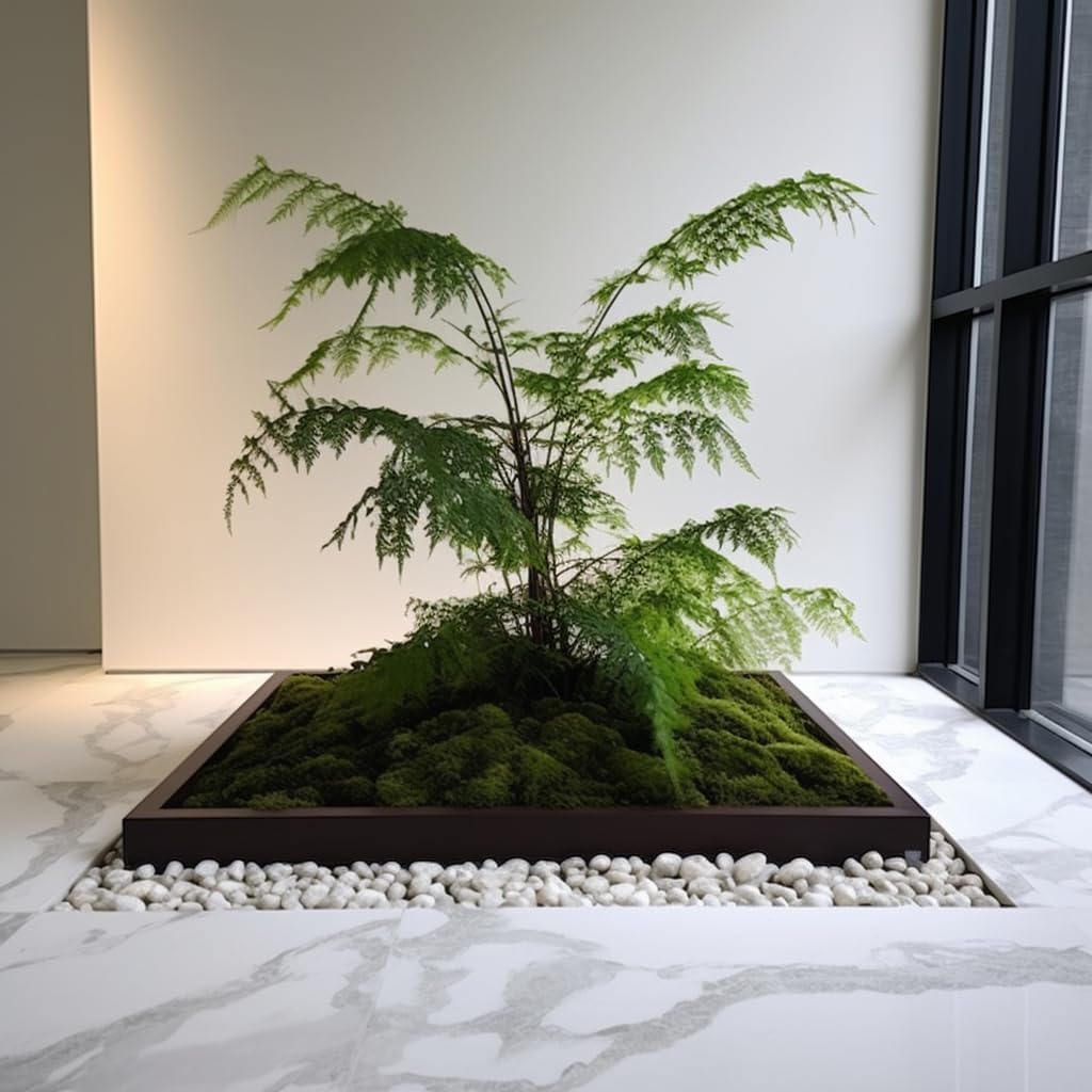 6 LBS River Rocks, StoneCreek, Decorative Garden Stones for Plant Landscaping, Polished Gravel Filler Pebbles for Home Decoration, Vases, Succulents, Flower Beds and Fish Tanks (White, Medium)