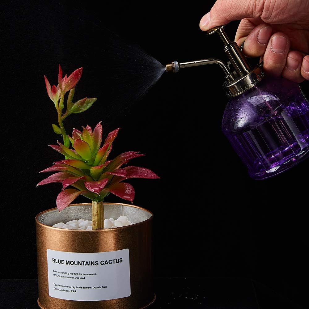 Glass Plant Mister Spray Bottle, Vintage Plant Spritzer Sprayer Mister, Succulent Watering Bottle with Top Pump, Small Glass Watering Can for Indoor Outdoor Houseplant - Purple