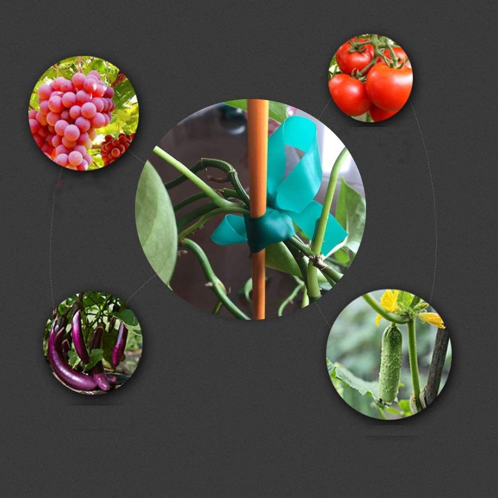 1 Roll 150 Feet Stretch Tie Tape 0.5 Inch Garden Tie Tape Thick Plant Ribbon Garden Green Vinyl Stake for Indoor Outdoor Patio Plant Use