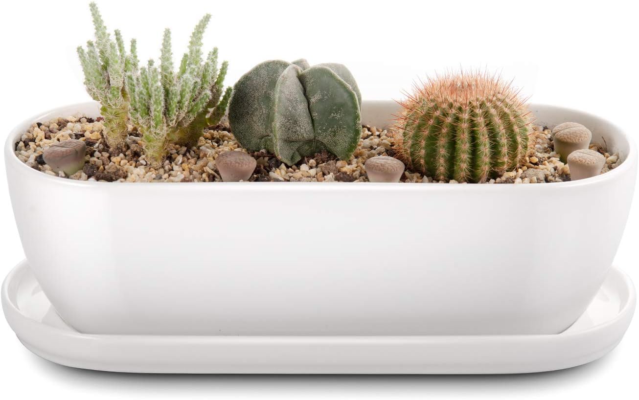 E-liu Oval Ceramic Planter Pot with Drainage Hole Saucers 11 Inch Succulents Planter Home Decor for Indoor Outdoor Plants Herb Cactus with 3 Mesh Pads, Plants Not Included