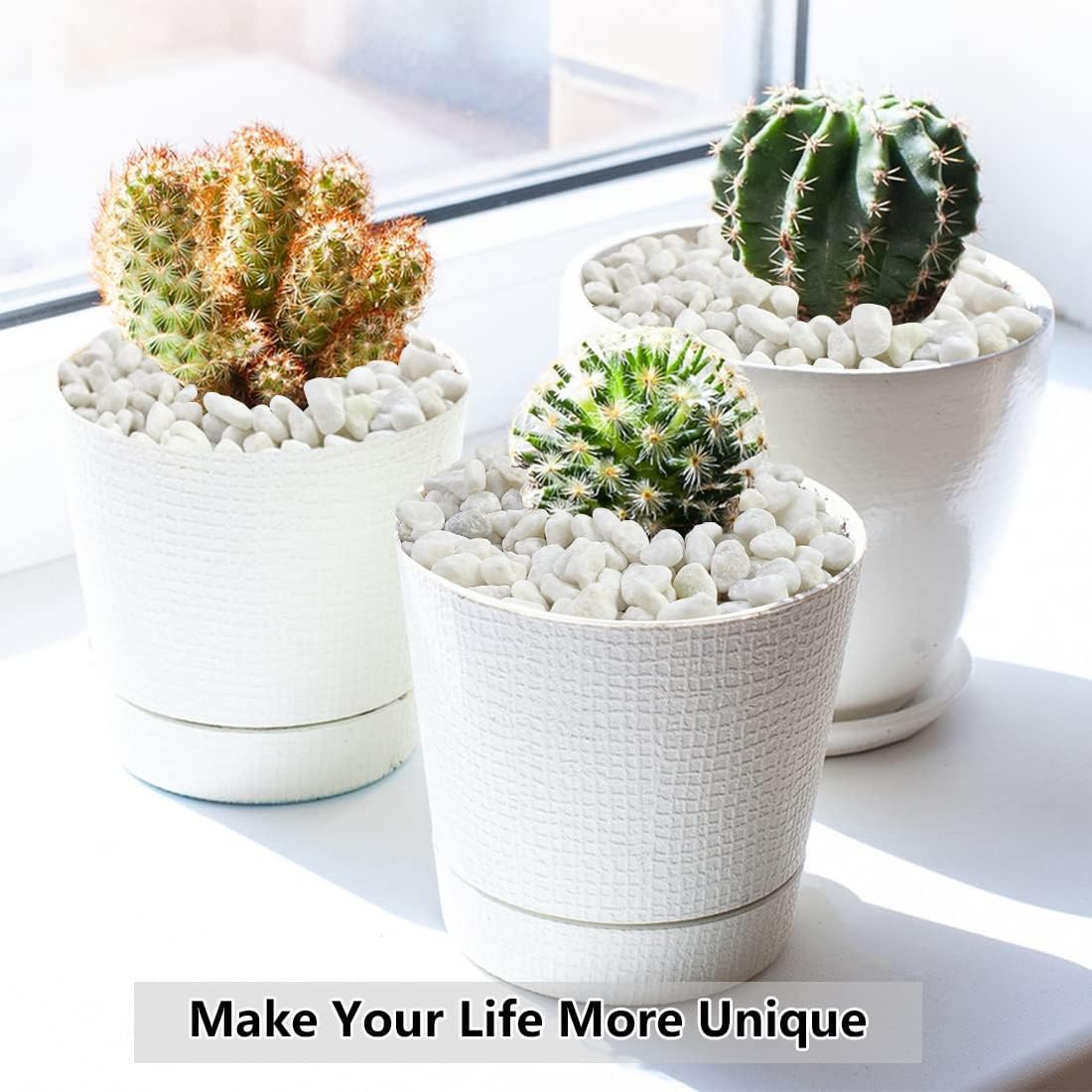 2LB Succulent and Cactus Gravel Pebbles, 1/5 Inch White Natural Decorative Polished Stones, River Rocks for Plants, Vases, Aquariums, Terrarium and Outdoor Gardening,White