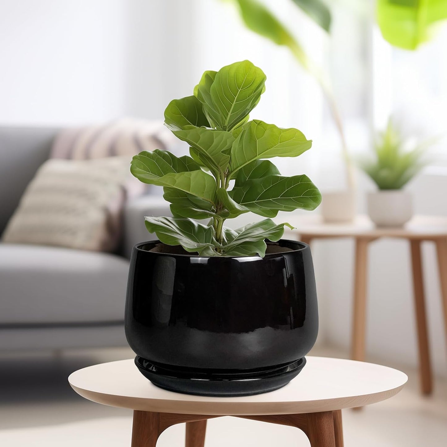 G EPGardening Ceramic Plant Pots - 9 Inch Round Planter, Ceramic Pots for Plants with Drainage and Tray, Flower Indoor Outdoor Planter, Modern Desk Decor, Plant Lover Gifts, Black