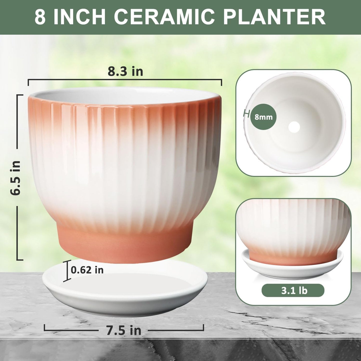 8 Inch Plant Pot, Ceramic Planter with Drainage and Saucer, Ceramic Pots for Plants, Indoor Plant pots,Ceramic Flower pots(Orange+ White, Plants NOT Included)