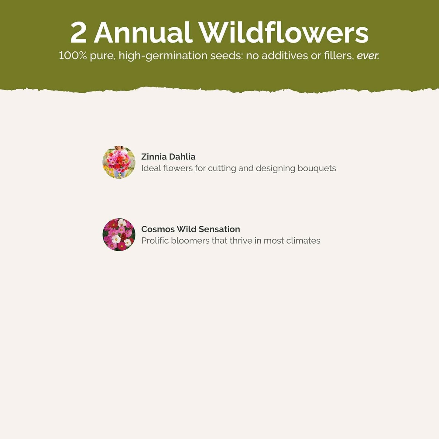 Eden Brothers Cosmic Zen Flower Mixed Seeds for Planting, 5 lb, 2,400,000+ Seeds with Zinnia Dahlia Flowered, Cosmos Sensation | Attracts Pollinators, Plant in Spring, Zones 3, 4, 5, 6, 7, 8, 9, 10