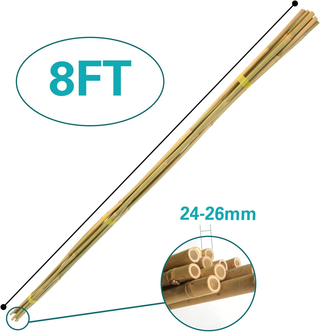 Bamboo Stakes 8 Feet, 96 inch Garden Stakes Multi-Purpose, Bamboo Plant Support Stakes for Tomatos, Beans, Cucumbers, Peppers, Potted Trees, Maintain The Plant Posture, Strengthen and Stem