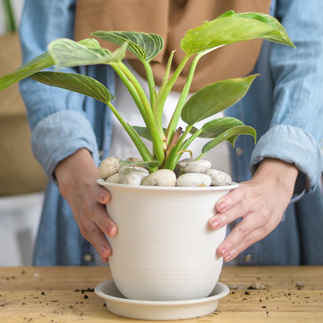 40lbs White River Rocks for Landscaping, 2-3 Inch Natural Pebbles for Indoor Plants, High Polished Decorative Stones Garden Outdoor and Indoor DIY Vase Filler Fish Tank Aquariums