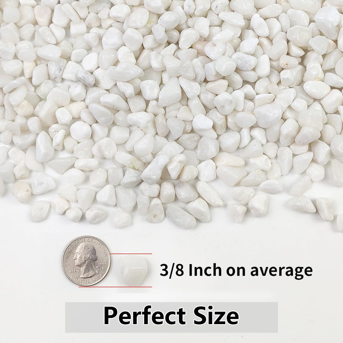 2LB Succulent and Cactus Gravel Pebbles, 3/8 Inch Natural Decorative Polished Stones, River Rocks for Plants, Vases, Aquariums, Terrarium and Outdoor Gardening, White
