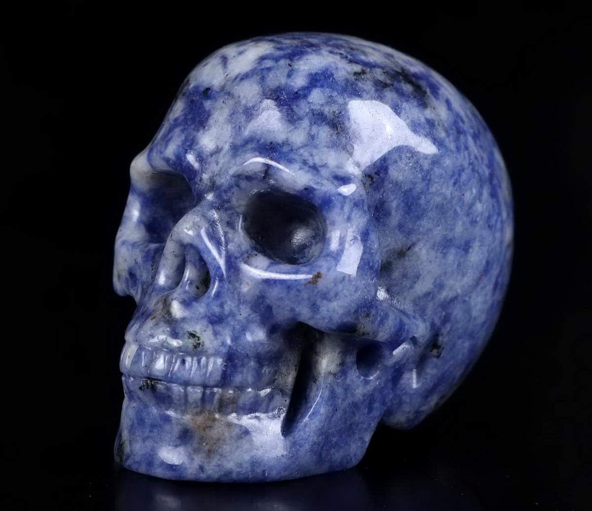 Skullis 2.0" Blue Speckled Sodalite Crystal Skull, Hand Carved Gemstone Fine Art Sculpture, Reiki Healing Stone Statue.