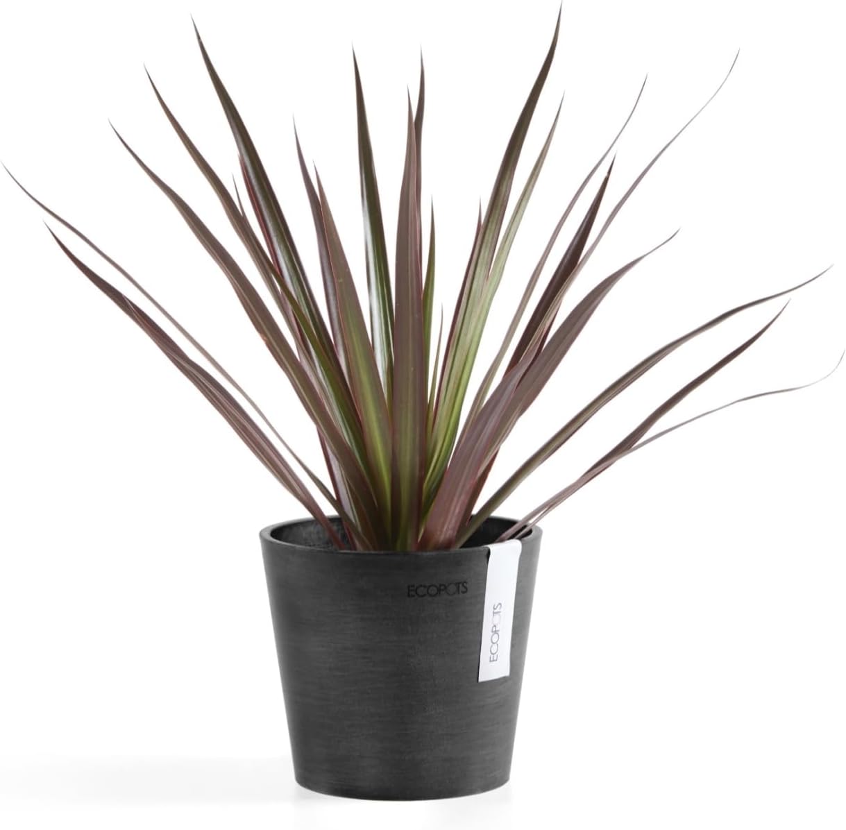 Ecopots Amsterdam Mini Durable Modern Round Recycled-Based Composite Flower Pot Planter, Dark Grey, 5"