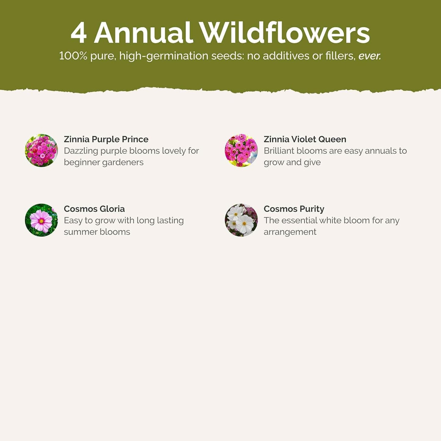 Eden Brothers Purple Rain Flower Mixed Seeds for Planting, 1 lb, 480,000+ Seeds with Zinnia Purple Prince & Violet Queen, Cosmos | Attracts Pollinators, Plant in Spring, Zones 3, 4, 5, 6, 7, 8, 9, 10