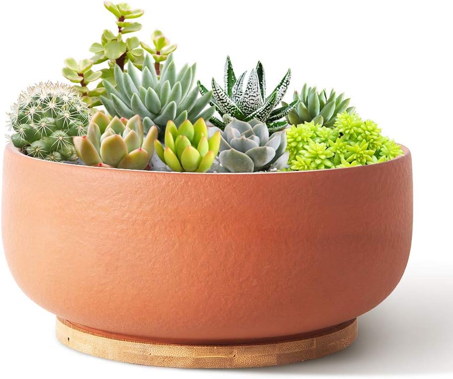 SQOWL Terracotta Planter Pot for Succulent 8 Inch Pottery Round Planter Cactus Clay Flower Pot with Drain Hole and Bamboo Tray Indoor Outdoor