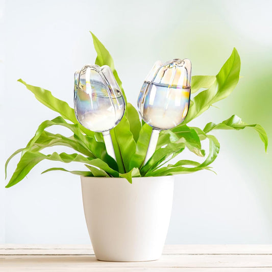 2Pcs Tulips Self Plant Watering Globes, Glass Self Watering Planter Insert, Automatic Plant Waterer Devices Indoor Outdoor (Transparent)