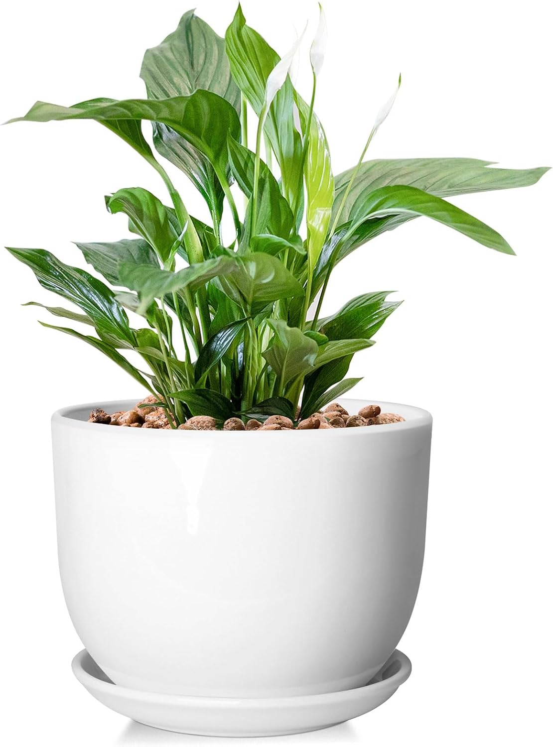 8 Inch Ceramic Planter, Plant Pots with Drainage Hole and Separable Saucer,Indoor-Outdoor Round Succulent Orchid Flower Pot,Indoor pots for Plants(Smooth White,Plant Pot only)