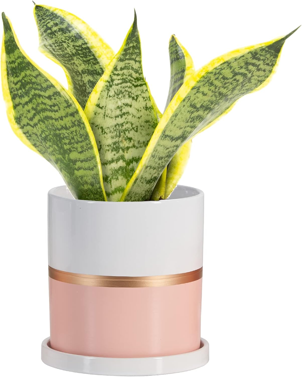 Ekirlin 5 inch Plant Pot - Ceramic Flower Planters Indoor - Modern Succulents Containers with Drain Hole Saucer, Decorate Home, Office & Outdoor (Pink)