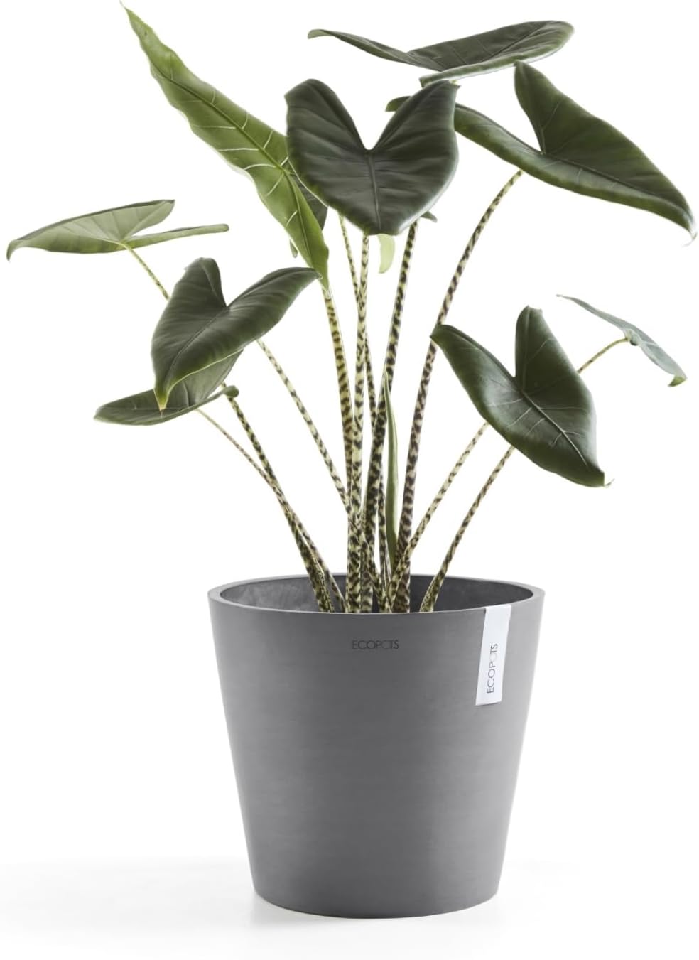 Ecopots Amsterdam Durable Modern Round Indoor/Outdoor Recycled-Based Composite Flower Pot Planter, Grey, 12"