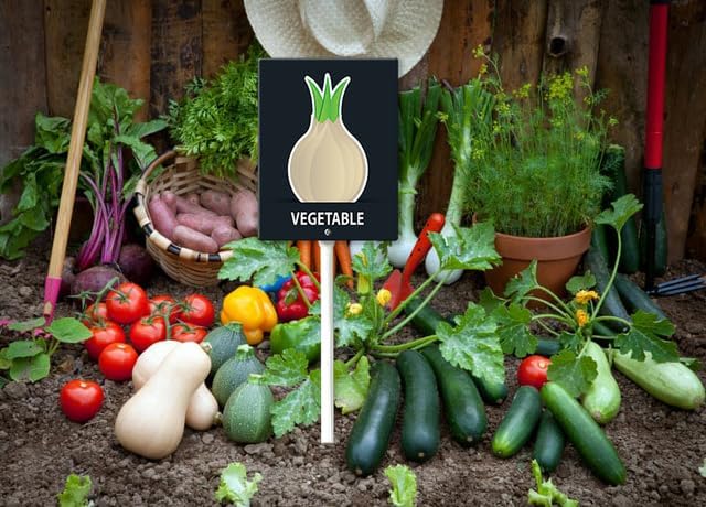 Eveokoki Aluminum Seed & Plant Labels - Plant Markes for Seedlings-Plant Tags for Pots - Garden Signs for Vegetable - Durable Markers for Plants Outdoor Waterproof - Garden Decor for Farmhouse