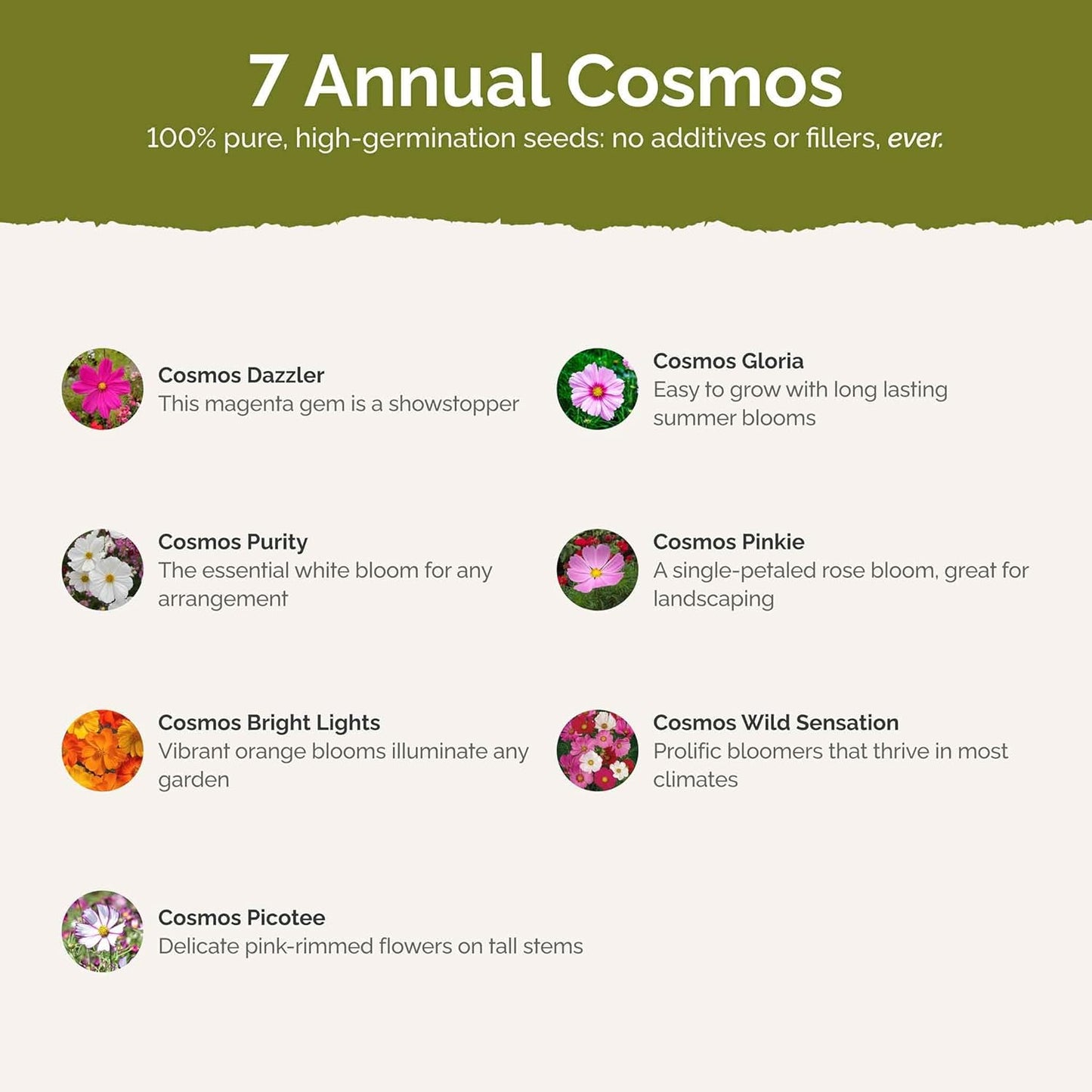 Eden Brothers Crazy for Cosmos Flower Mixed Seeds for Planting, 10 lb, 4,800,000+ Seeds with Cosmos Gloria, Pinkie, Purity, Attracts Pollinators, Plant in Spring or Fall, Zones 3, 4, 5, 6, 7, 8, 9, 10