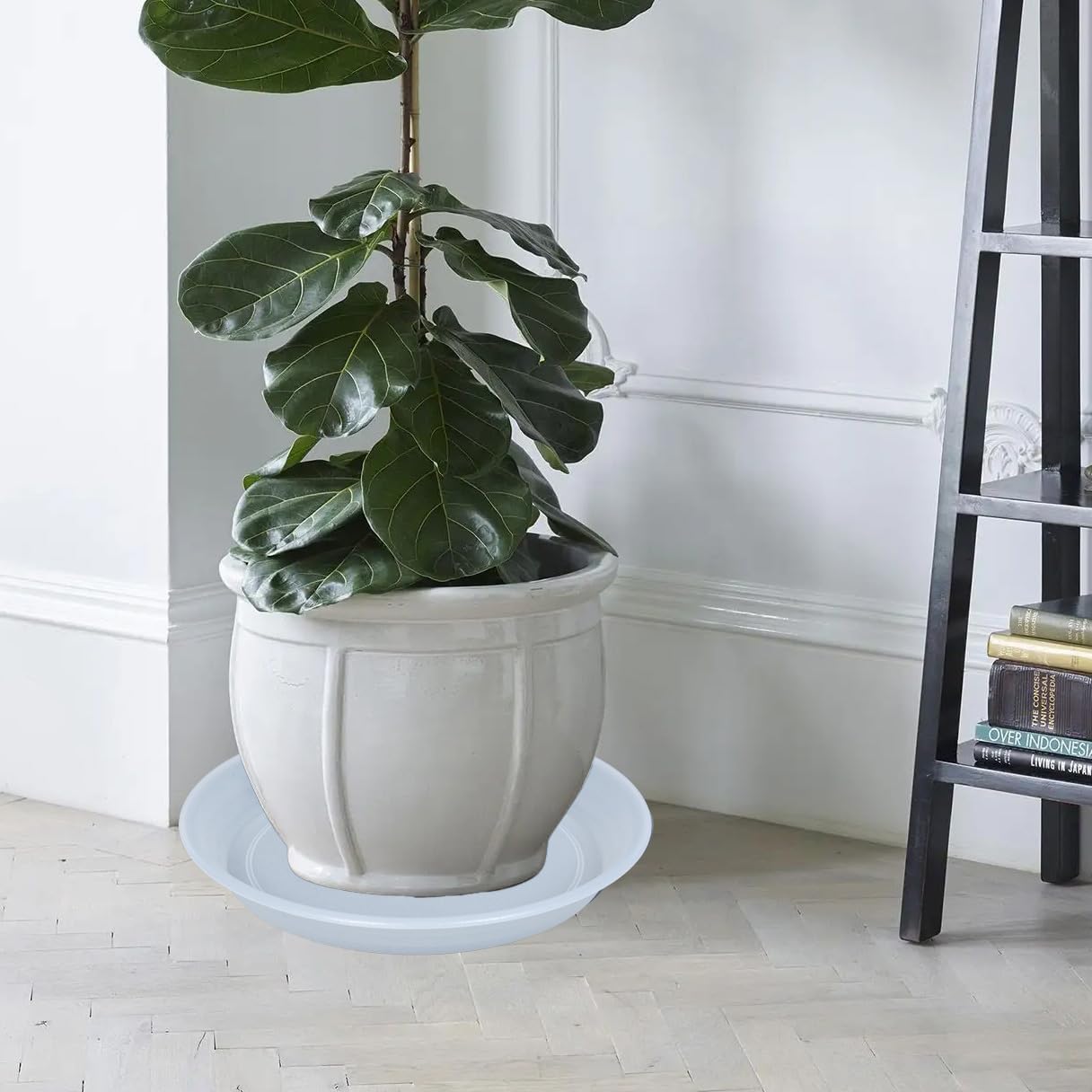 2 Pack Clear Plant Saucer Drip Tray 13 14 inch, Large Plastic Flower Planter Saucers and Drip Trays for Indoors Outdoors, Heavy Durable Plant Plate Water Catcher (14", Clear)