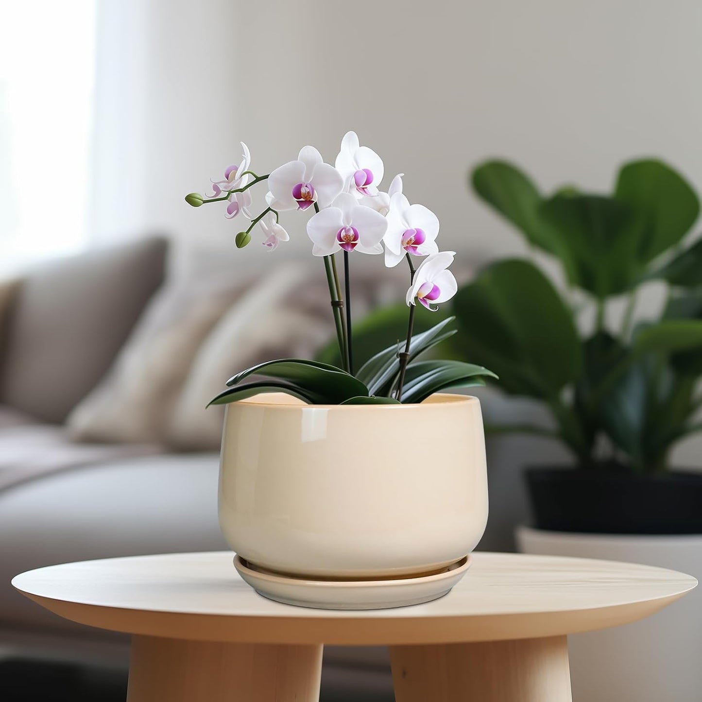 G EPGardening Ceramic Planter - 7 Inch Plant Pots with Drainage and Ceramic Tray, Flower Pots for Indoor Plants, Round Outdoor Planter, Room Decor, Gifts for Plant Lovers, Beige