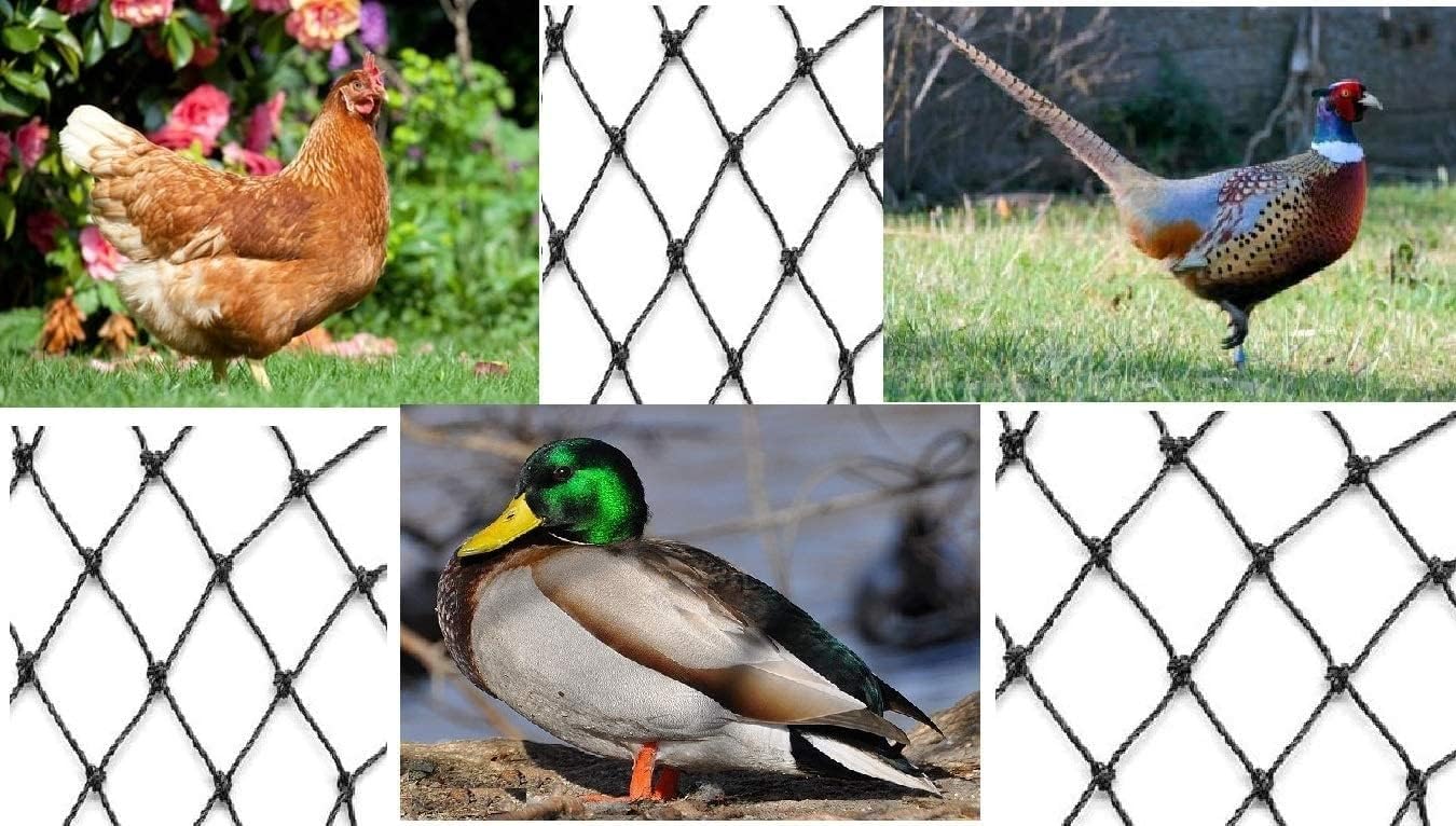 Aviary Netting Heavy Knotted 2 inch Poultry Net (25 ft x 50 ft)