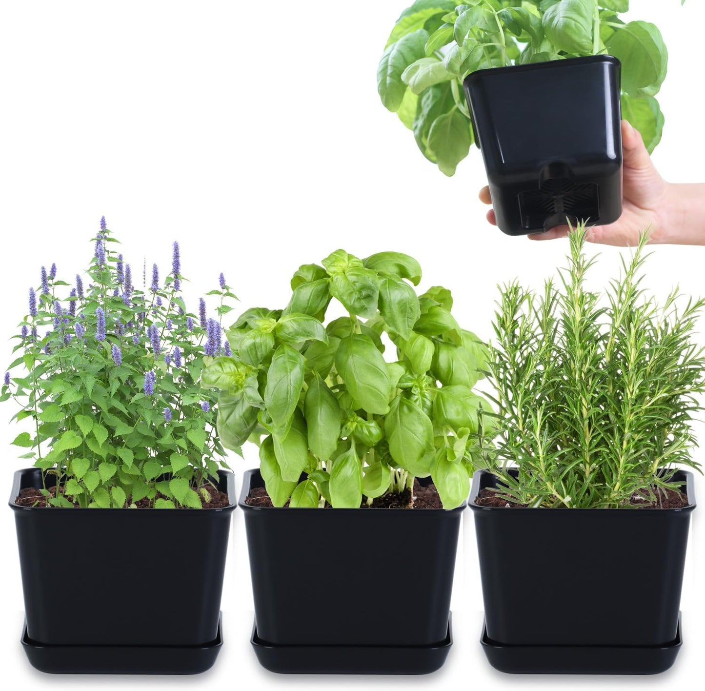 Herb Garden Planter Indoor Kit Pots for Indoor/Outdoor Plants 4 Packs Windowsill Plant Pots with Drainage and Tray, Window Pot for Indoor Plants (Black)